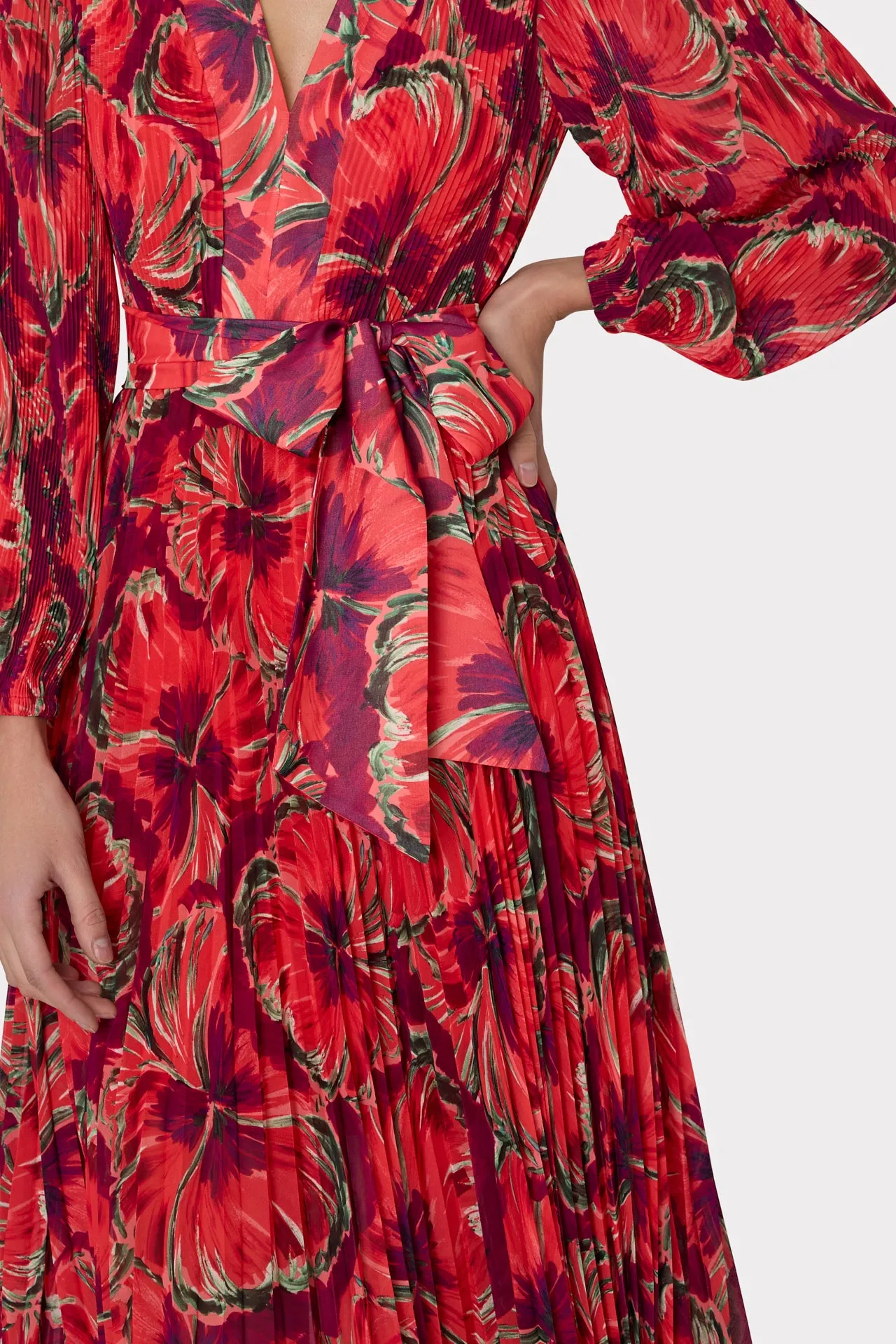 Liora Windmill Floral Pleated Dress