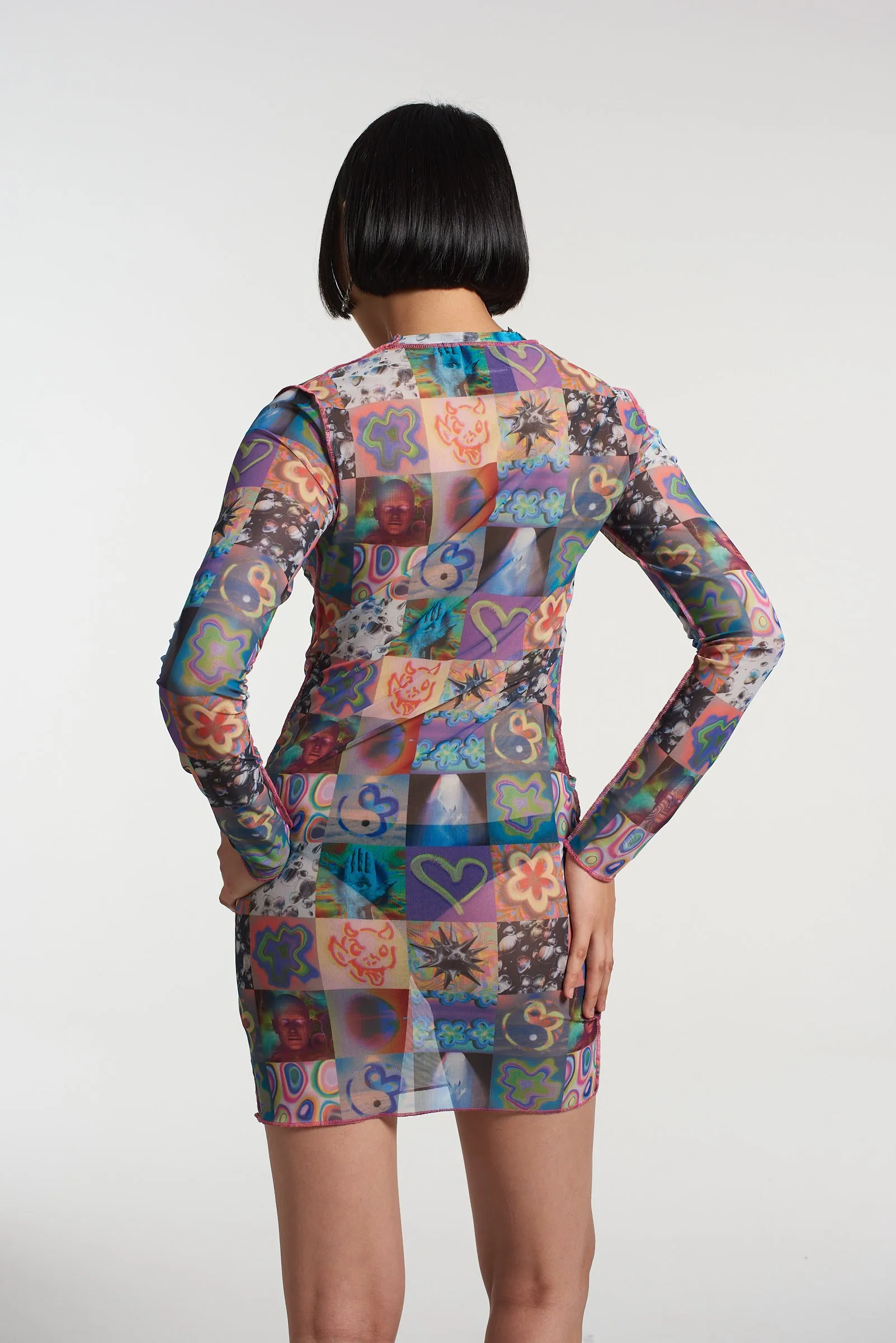Memories Mesh Long Sleeve Dress