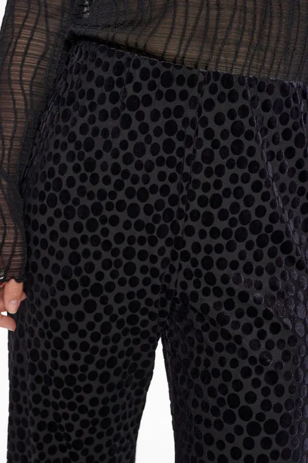 Numph Nuhadlee Pant in Black