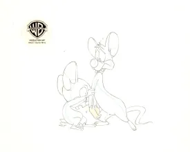 Pinky And The Brain Original Production Drawing: Pinky And Brain