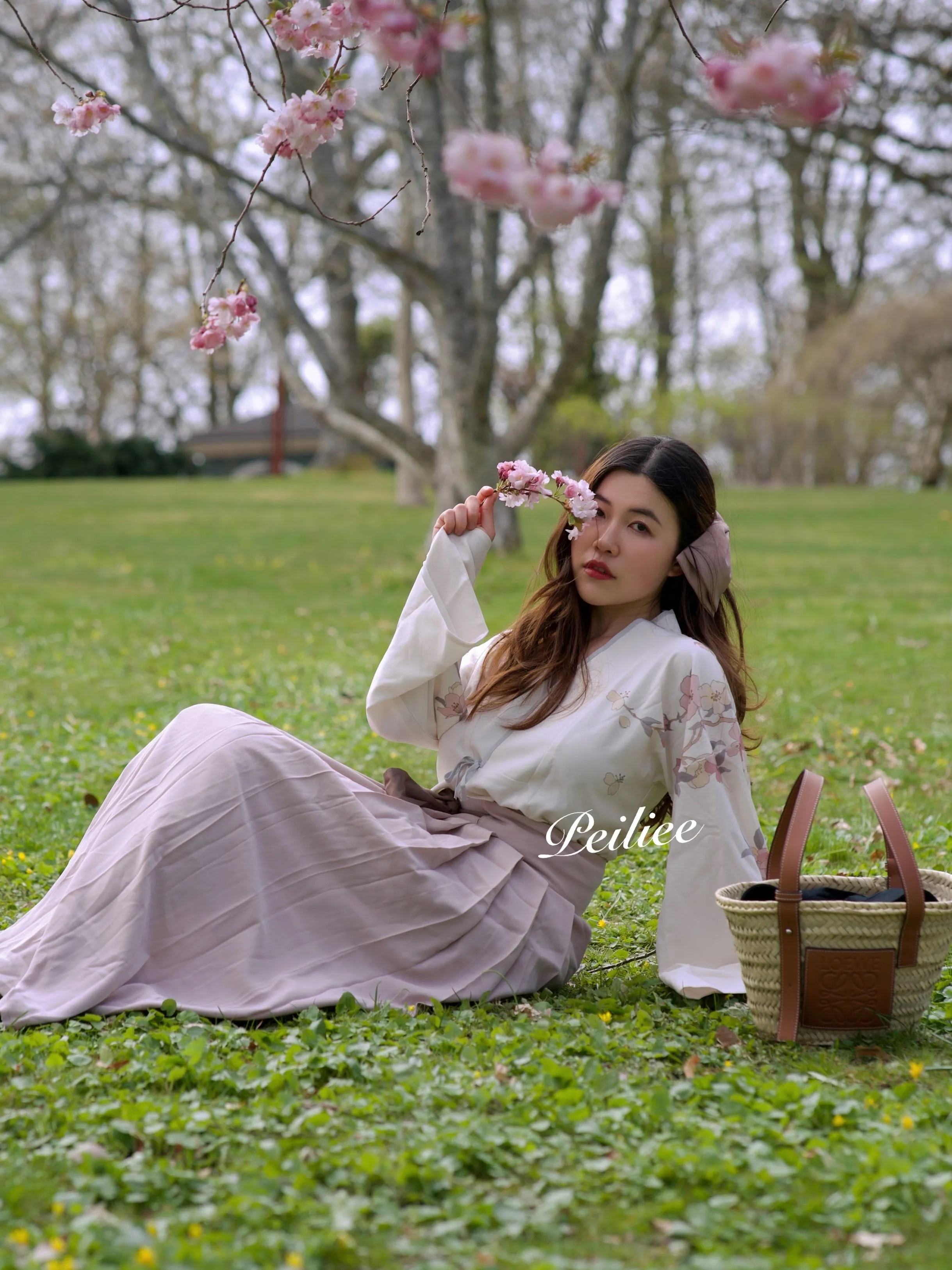 [SALE] Sakura Season Chinese HanFu Style Dress Set